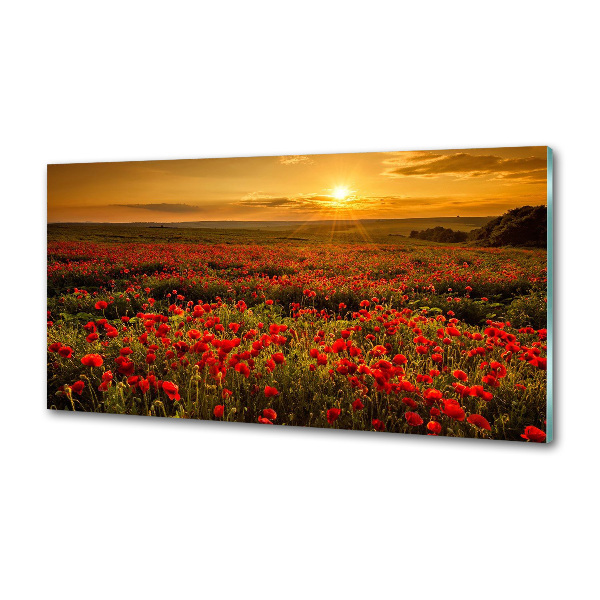 Crédence en verre Champ de coquelicots