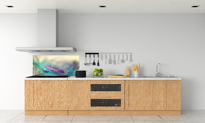 Panneau crédence cuisine Gouttes sur une plume