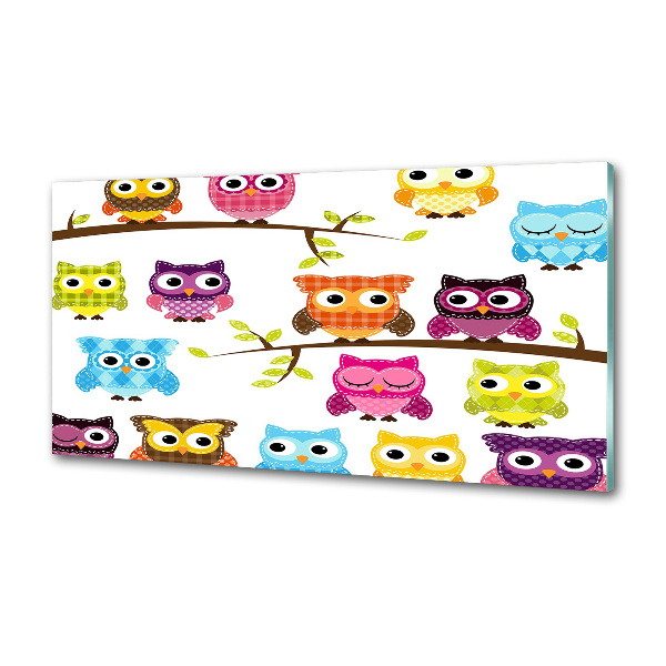 Panneau crédence cuisine Hiboux colorés