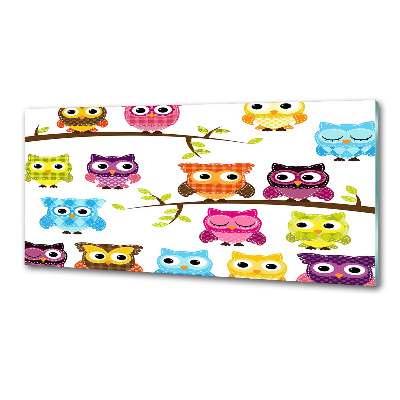 Panneau crédence cuisine Hiboux colorés