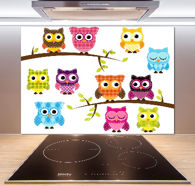 Panneau crédence cuisine Hiboux colorés