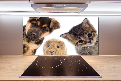 Panneaux muraux cuisine Animaux de compagnie