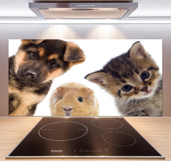 Panneaux muraux cuisine Animaux de compagnie