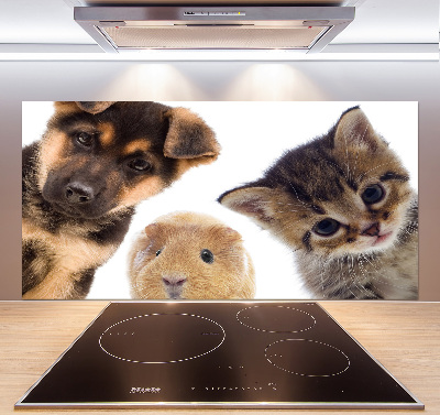 Panneaux muraux cuisine Animaux de compagnie