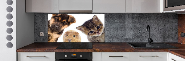 Panneaux muraux cuisine Animaux de compagnie