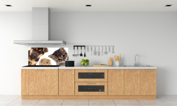 Panneaux muraux cuisine Animaux de compagnie