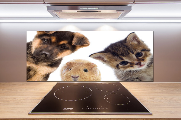 Panneaux muraux cuisine Animaux de compagnie