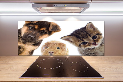 Panneaux muraux cuisine Animaux de compagnie
