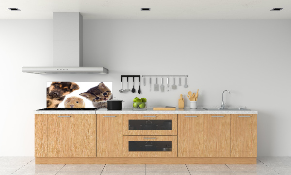 Panneaux muraux cuisine Animaux de compagnie