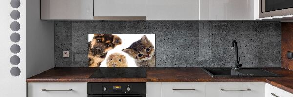Panneaux muraux cuisine Animaux de compagnie