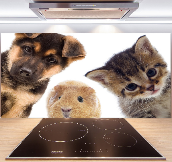Panneaux muraux cuisine Animaux de compagnie