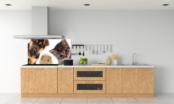 Panneaux muraux cuisine Animaux de compagnie