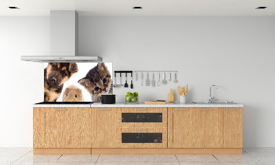 Panneaux muraux cuisine Animaux de compagnie