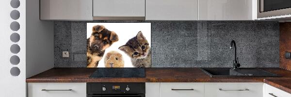Panneaux muraux cuisine Animaux de compagnie
