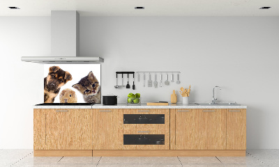 Panneaux muraux cuisine Animaux de compagnie