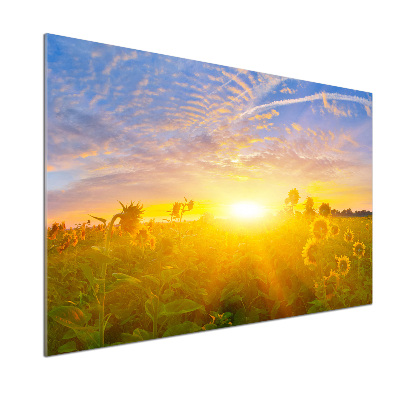 Crédence en verre avec motif Champ de tournesols