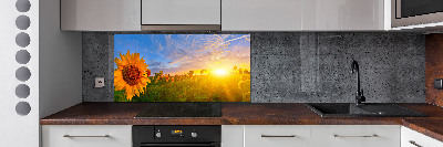 Crédence en verre avec motif Champ de tournesols