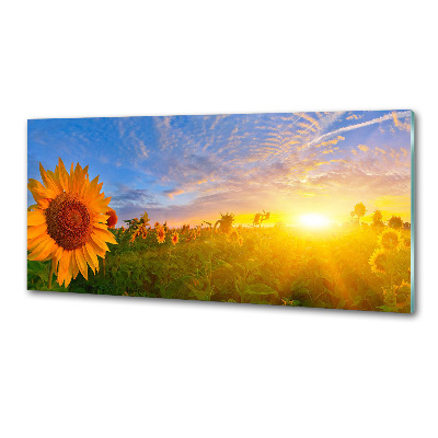 Crédence en verre avec motif Champ de tournesols