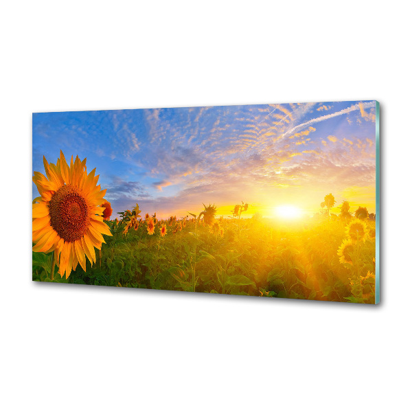 Crédence en verre avec motif Champ de tournesols