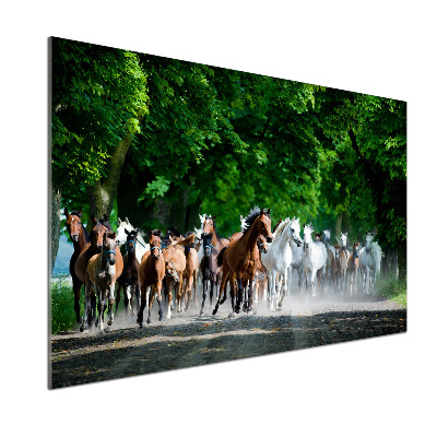 Verre pour crédence Chevaux au galop