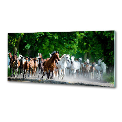 Verre pour crédence Chevaux au galop