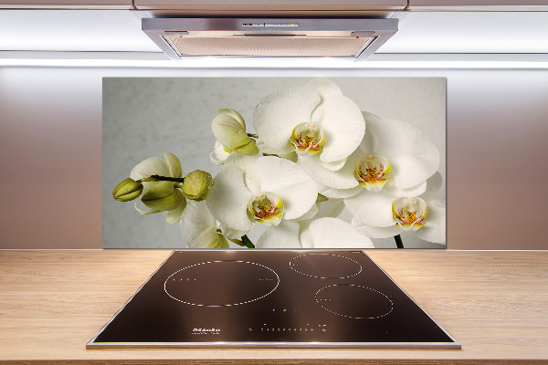 Crédence cuisine en verre trempé Orchidée blanche