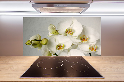 Crédence cuisine en verre trempé Orchidée blanche