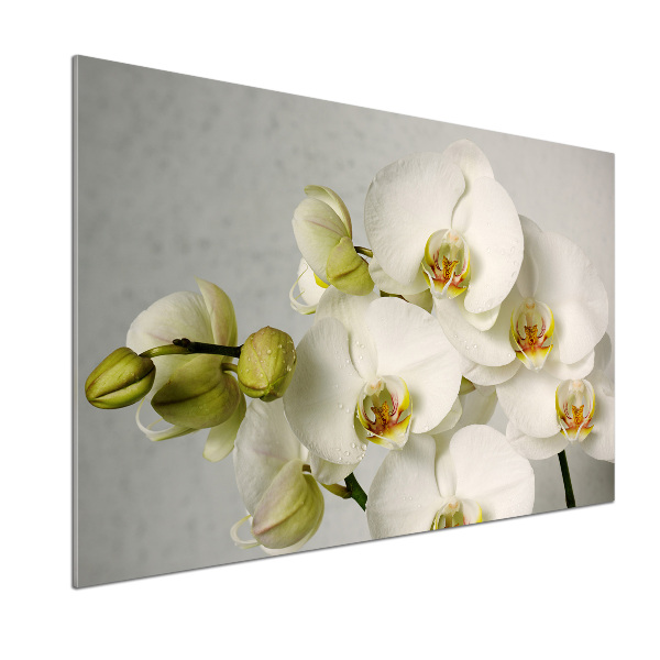 Crédence cuisine en verre trempé Orchidée blanche