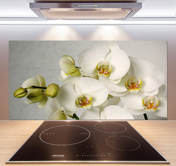 Crédence cuisine en verre trempé Orchidée blanche