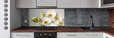 Crédence cuisine en verre trempé Orchidée blanche