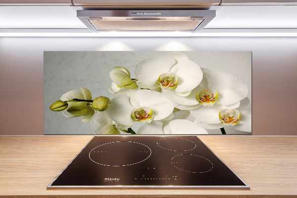 Crédence cuisine en verre trempé Orchidée blanche