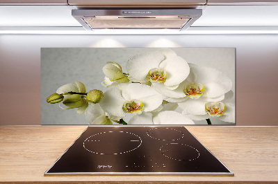Crédence cuisine en verre trempé Orchidée blanche