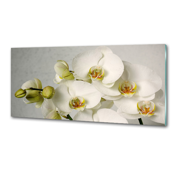 Crédence cuisine en verre trempé Orchidée blanche