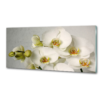 Crédence cuisine en verre trempé Orchidée blanche