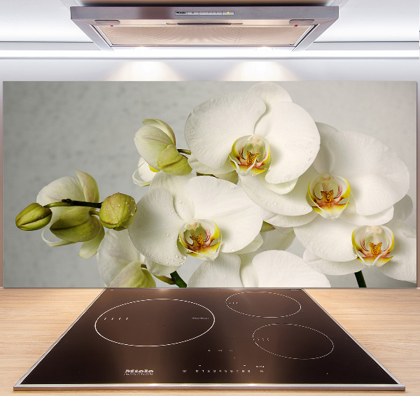 Crédence cuisine en verre trempé Orchidée blanche