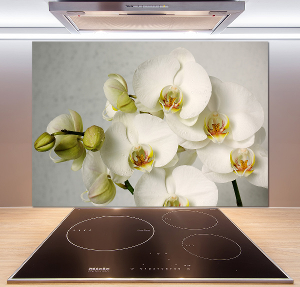 Crédence cuisine en verre trempé Orchidée blanche