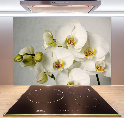 Crédence cuisine en verre trempé Orchidée blanche