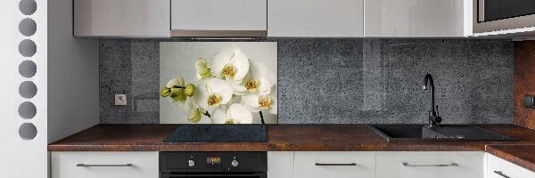 Crédence cuisine en verre trempé Orchidée blanche