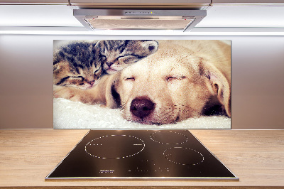 Crédence en verre trempé Chiot et chats