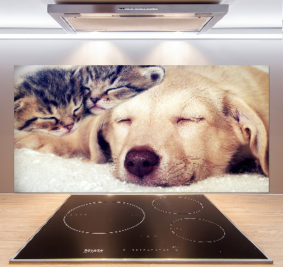 Crédence en verre trempé Chiot et chats
