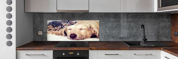 Crédence en verre trempé Chiot et chats