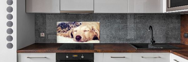 Crédence en verre trempé Chiot et chats