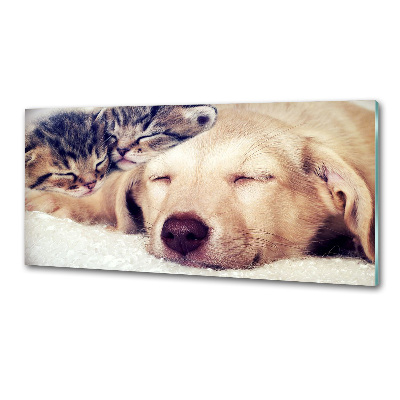 Crédence en verre trempé Chiot et chats