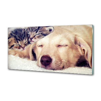 Crédence en verre trempé Chiot et chats