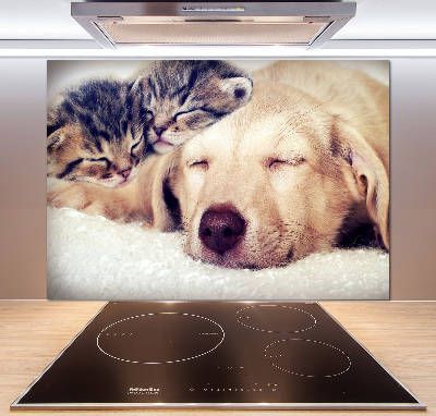 Crédence en verre trempé Chiot et chats