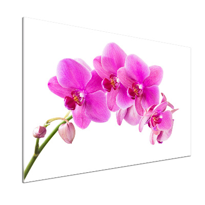 Panneau crédence cuisine Orchidée rose