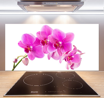Panneau crédence cuisine Orchidée rose