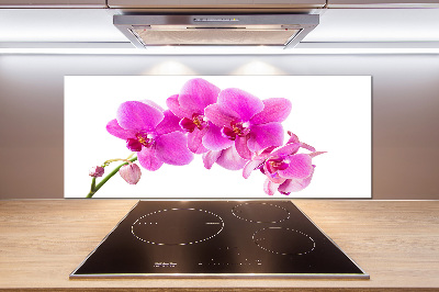 Panneau crédence cuisine Orchidée rose