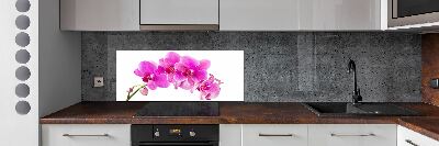 Panneau crédence cuisine Orchidée rose