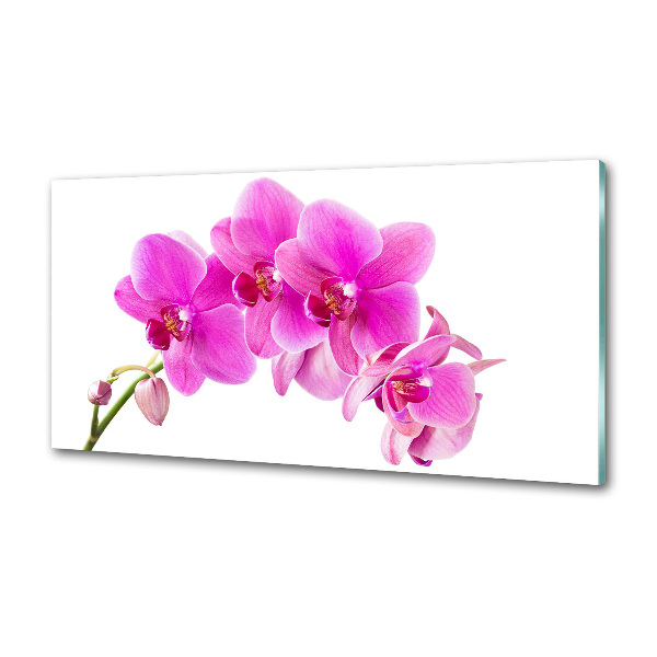 Panneau crédence cuisine Orchidée rose